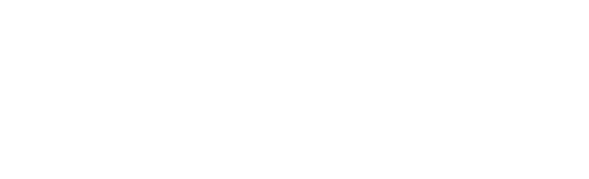 Magento Logo