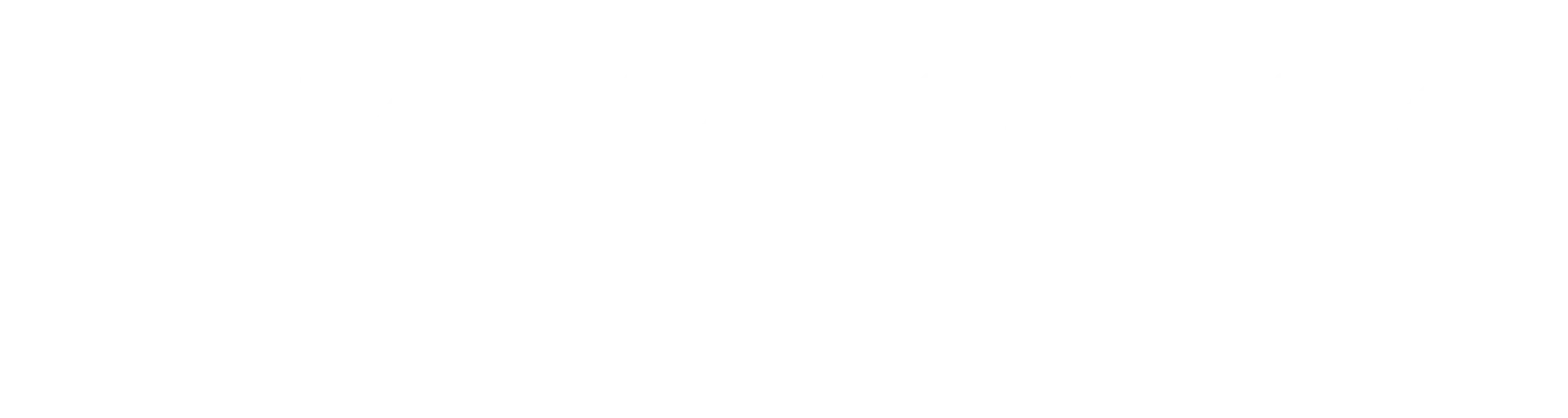 Mobilvideo Logo