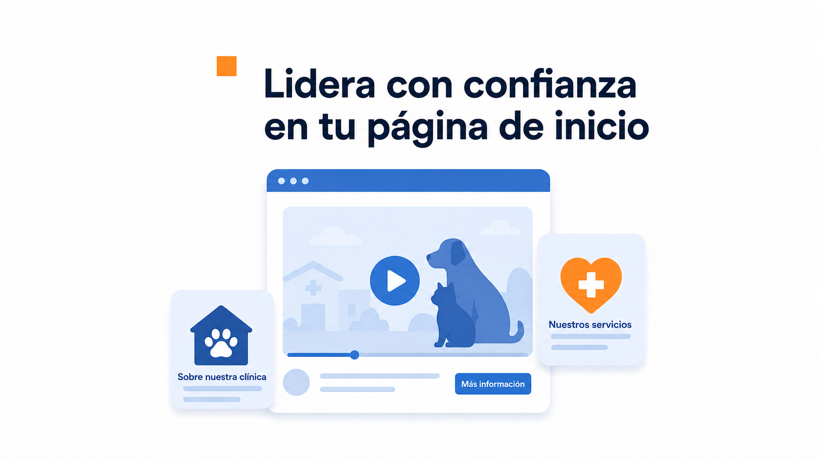 Dónde colocar un vídeo en el sitio web de una clínica veterinaria